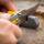 Smith´s Pocket Pal Knife Sharpener mit Diamantstab, Karbid- und Keramiksteine