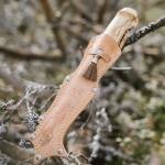 Marttiini Lynx 132 Messer mit Edelstahlklinge, Maserbirkengriff und Lederscheide