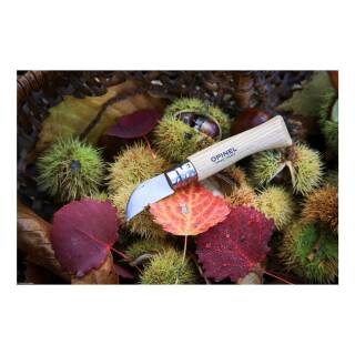 Opinel No 7, Schl- + Entkernmesser fr Obst / Gemse, 4 cm und Kastanienholz